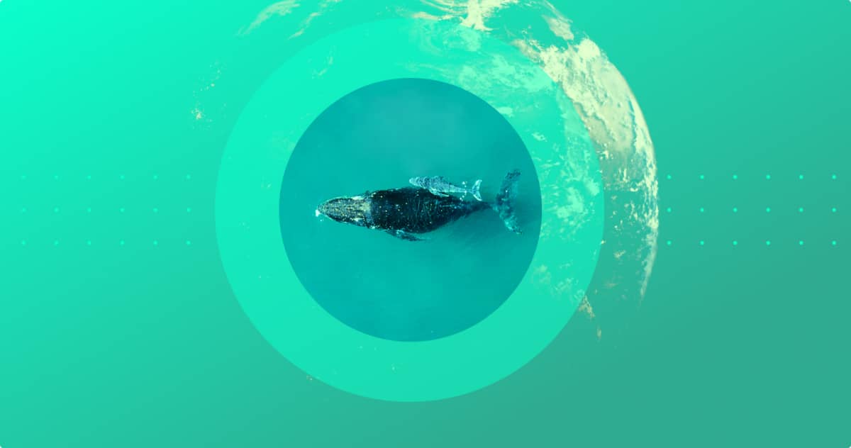 Earthshot Prize palkitsi ympäristöratkaisuja